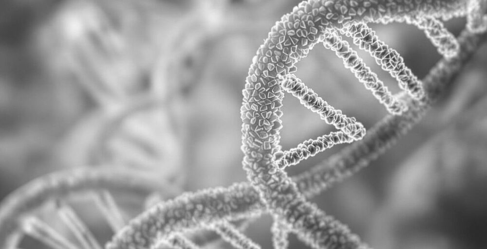 A close-up of a DNA double helix structure, captured in black and white, evokes the precision of a CVS DNA paternity test. The intertwined strands form a spiral pattern with distinct nucleotide links, set against a subtly blurred background for an intricately textured tableau.